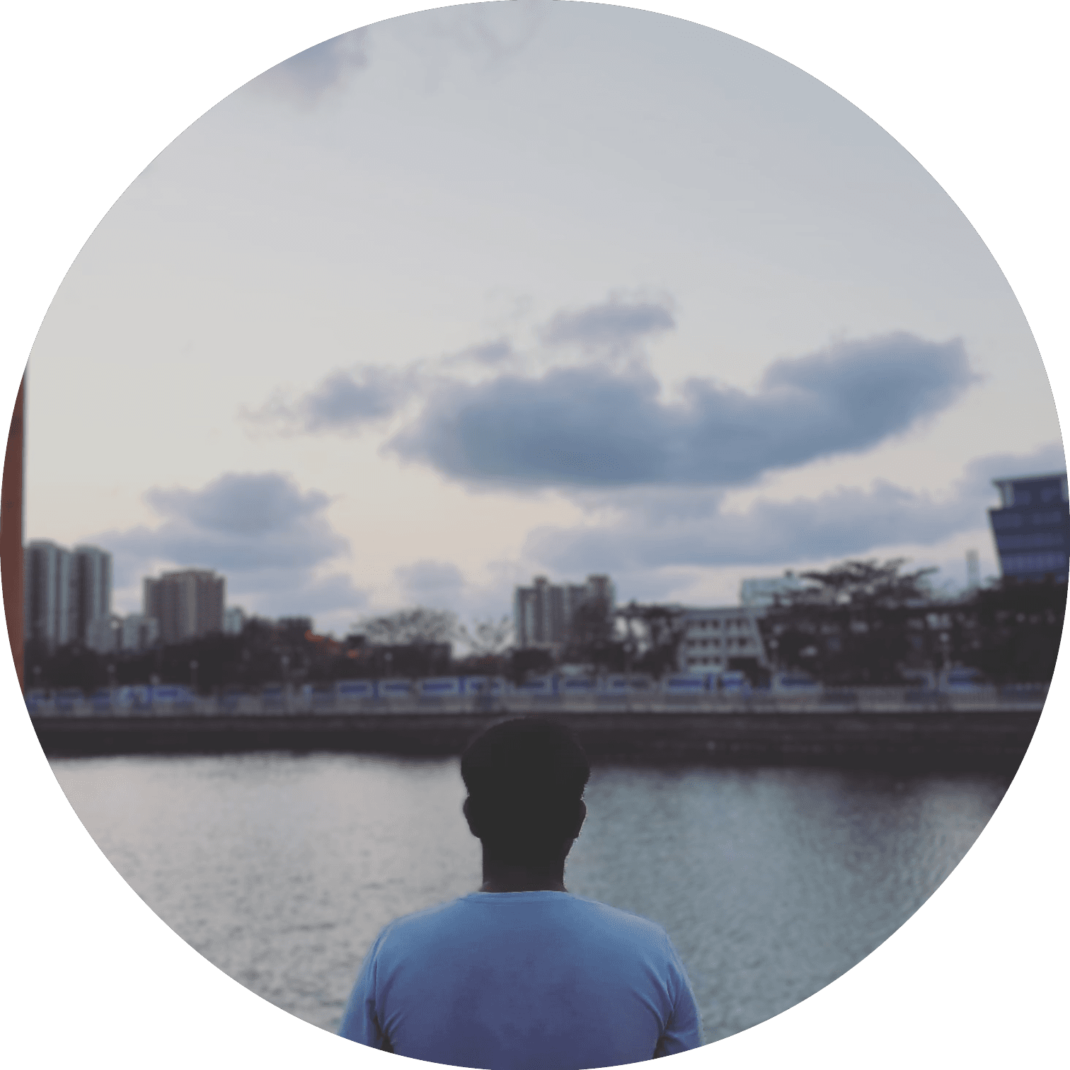 Developer